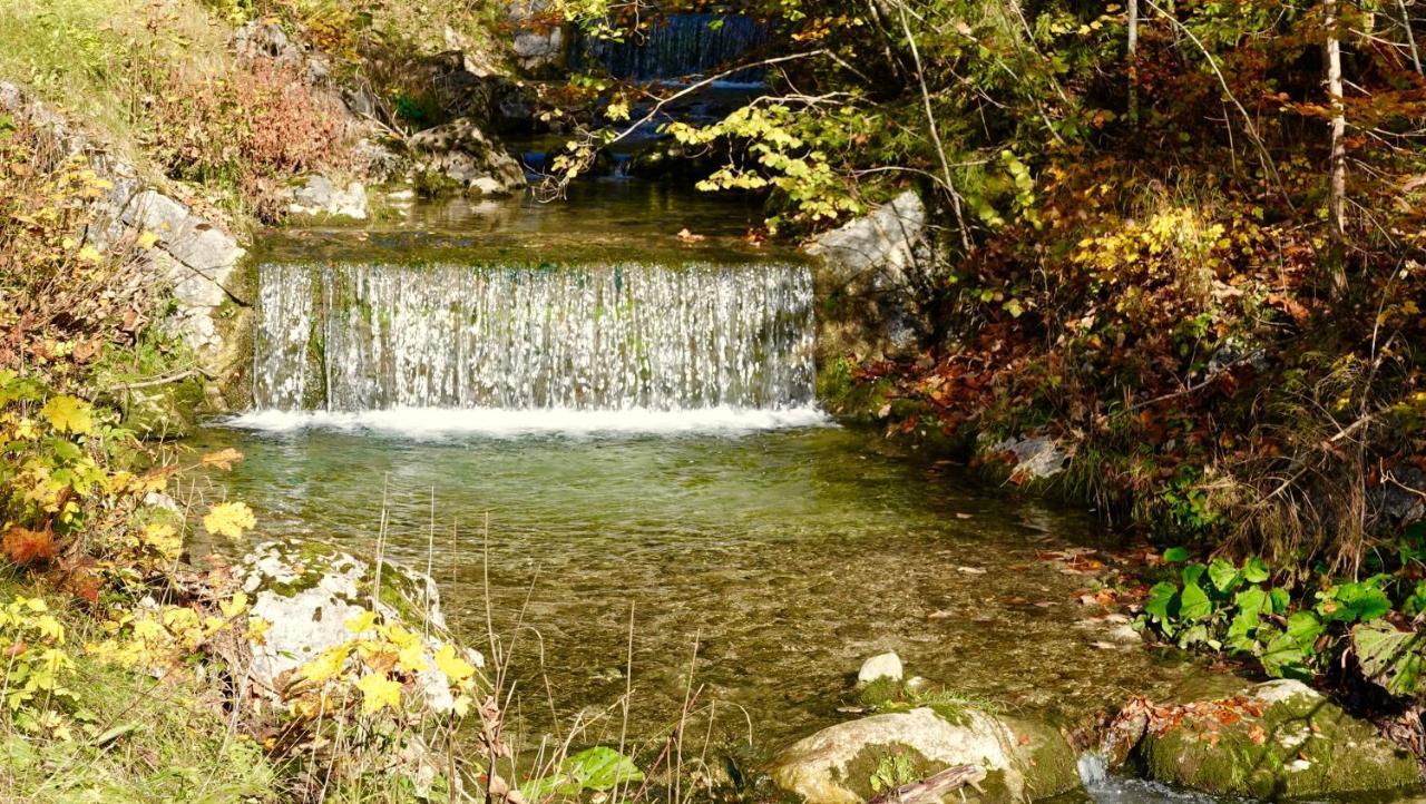 Ferienwohnung Kirchschlager Bad Aussee Dış mekan fotoğraf